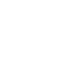 Valoración visual integral